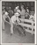 County agent at 4-H fair. Sublette, Kansas