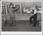 Children looking at poultry on display at 4-H fair. Sublette, Kansas