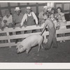 Scene at 4-H show and fair at Sublette, Kansas