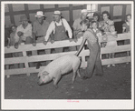 Scene at 4-H show and fair at Sublette, Kansas