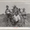 Ernest W. Kirk Jr. with his two sons on their farm near Ordway, Colorado. Fruits of their farm, coming from their labor, which has placed them in a few months from almost hopeless condition to a family with net worth approaching a thousand dollars