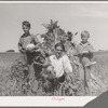 Ernest W. Kirk Jr. with his two sons on their farm near Ordway, Colorado. Fruits of their farm, coming from their labor, which has placed them in a few months from almost hopeless condition to a family with net worth approaching a thousand dollars