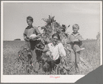 Ernest W. Kirk Jr. with his two sons on their farm near Ordway, Colorado. Fruits of their farm, coming from their labor, which has placed them in a few months from almost hopeless condition to a family with net worth approaching a thousand dollars