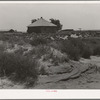 Syracuse (vicinity), Kansas. Abandoned farm