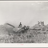 Threshing wheat near Questa, New Mexico