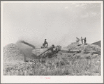 Threshing wheat near Questa, New Mexico