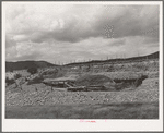 Straw-covered shelter for livestock on farm near Questa, New Mexico