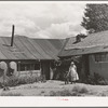 Front yard of Spanish-American farm home near Questa, New Mexico