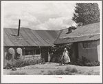 Front yard of Spanish-American farm home near Questa, New Mexico