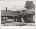 Front yard of Spanish-American farm home near Questa, New Mexico