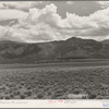 Scene in the sagebrush country south of Costilla, New Mexico