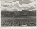 Scene in the sagebrush country south of Costilla, New Mexico