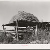 Livestock shelter with hay on roof near Questa, New Mexico