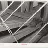 Feet of Spanish-American woman on the pedal of loom. WPA (Works Progress Administration/Work Projects Administration) project. Costilla, New Mexico