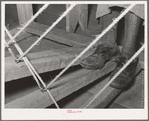 Feet of Spanish-American woman on the pedal of loom. WPA (Works Progress Administration/Work Projects Administration) project. Costilla, New Mexico