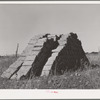 Adobe brick near Questa, New Mexico