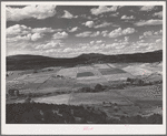 Strip farming near San Cristobal, New Mexico