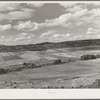 Strip farming near San Cristobal, New Mexico