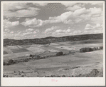 Strip farming near San Cristobal, New Mexico