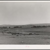 Orchard in Mora River Valley near Mora, New Mexico