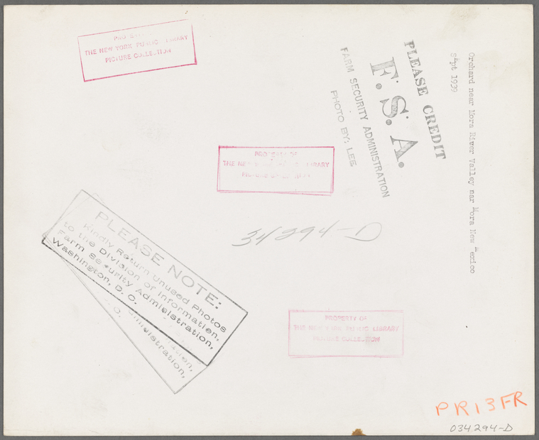 Index