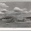 Barn covered with hay and haystacks near Taos, New Mexico