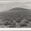 Sagebrush country near Costilla, New Mexico