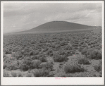 Sagebrush country near Costilla, New Mexico