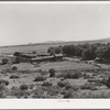 Large Spanish-American farm specializing in fruits. Mora River Valley near Mora, New Mexico