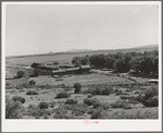 Large Spanish-American farm specializing in fruits. Mora River Valley near Mora, New Mexico