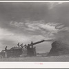 Threshing wheat near Questa, New Mexico