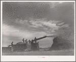 Threshing wheat near Questa, New Mexico