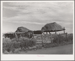 Stock shelters with hay on roof. Near Questa, New Mexico