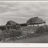Stock shelters with hay on roof. Near Questa, New Mexico