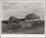 Stock shelters with hay on roof. Near Questa, New Mexico