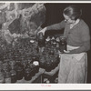 Wife of FSA (Farm Security Administration) client looking at canned goods stored in her cellar. Near Bradford, Vermont, Orange County