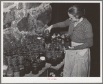 Wife of FSA (Farm Security Administration) client looking at canned goods stored in her cellar. Near Bradford, Vermont, Orange County