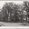 Street scene. Bradford, Vermont