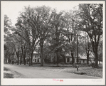 Street scene. Bradford, Vermont