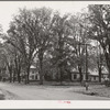 Street scene. Bradford, Vermont