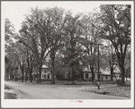 Street scene. Bradford, Vermont