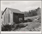 Barnyard on farm in Orange County near Bradford, Vermont