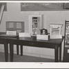 FSA (Farm Security Administration) exhibit at state fair. Dallas, Texas