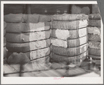 Bale of cotton linters and bale of middling cotton side by side in waarehouse. The bale of linter, on the side, left, is the fiber which is close to the seed. One of its major uses is the making of cellulose. Houston, Texas