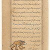 Ursa Minor (al-Dubb al-Asghar)