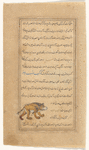 Ursa Minor (al-Dubb al-Asghar)