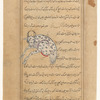 Taurus (al-Saur)