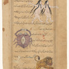 Gemini (al-Jauzâ') [top]; Cancer (al-Saratân) [middle]; Leo (al-Asad) [bottom]