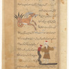 Capricorn (al-Jadî) [top]; Aquarius (al-Dalv) [bottom]