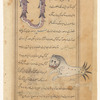Pisces (al-Hût) [top]; Cetus (al-Qîtas)[Qintîs] [bottom]
